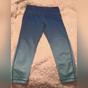 Senita ombre blue crops